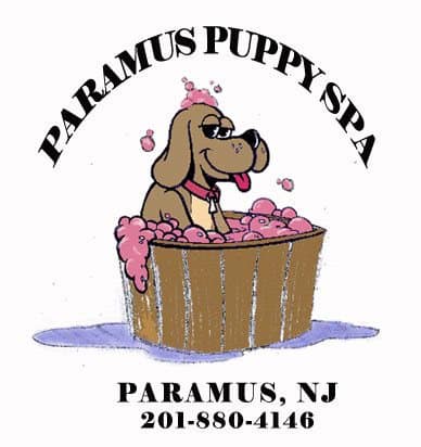 Dog Groomer, ParamusNJ