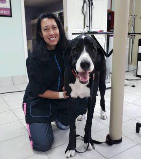dog groomer in Paramus Puppy Spa